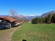 MONTE SUCHELLO (1541 m), fiorito in basso , innevato in alto, da Costa Serina il 19 marzo 2026  - FOTOGALLERY